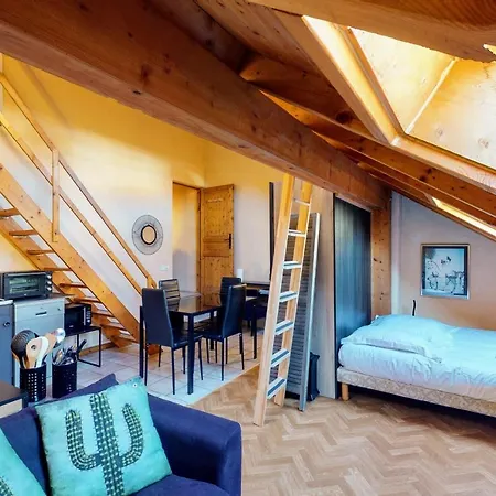 Duplex Cactus 4 People In The Centre Of 100 Meters From The Annecy