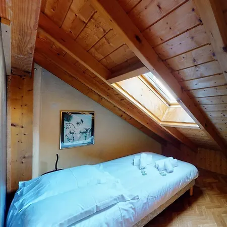 Duplex Cactus 4 People In The Centre Of 100 Meters From The Apartment Annecy